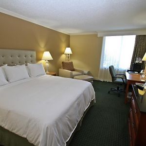 King Room Sofa Bed Non-Smoking